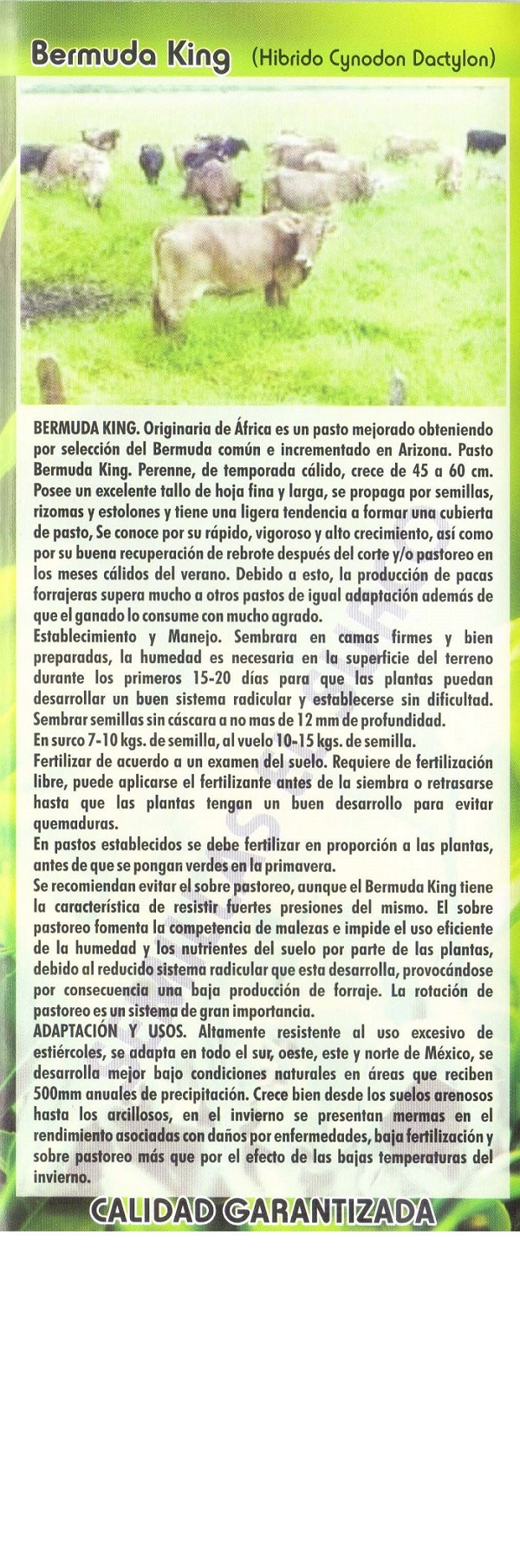 Semilla para siembra GDL