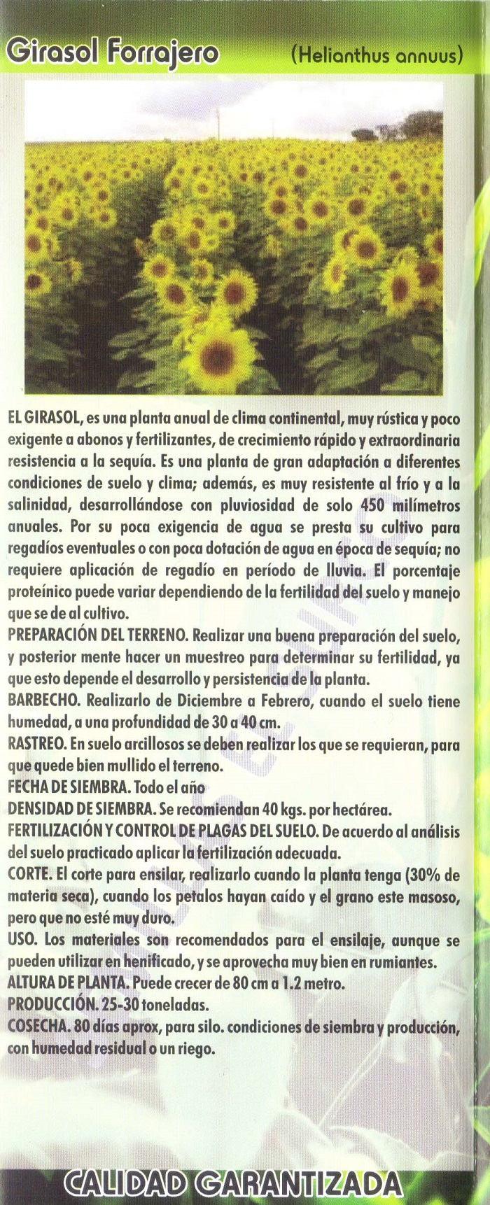 Semilla para siembra Zapopan