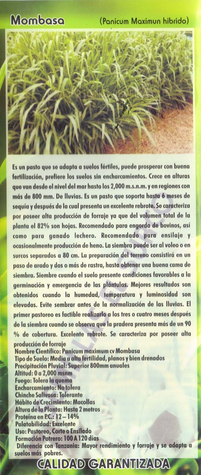 Venta de Semillas para Pasto en Zapopan