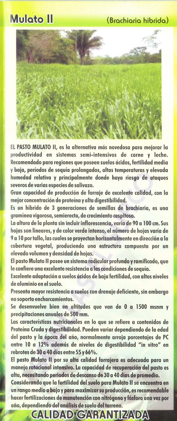 Venta de Semillas para Pasto en Tlaquepaque